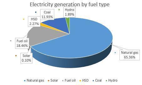 The sources of energy for the electricity generation are natural gas, coal, fuel oil, high speed diesel (HSD) and hydro power.