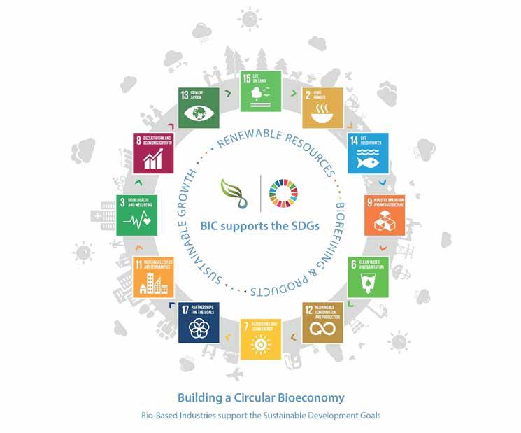 4 Carbon-neutral value chains mitigate climate change and contribute to UN Sustainable Development Goals In 2050: Bio-based operations deliver solutions to mitigate climate change new processes and