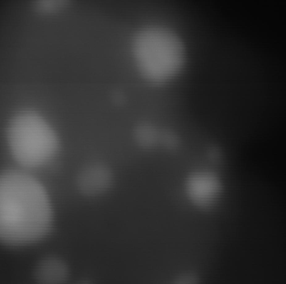 (a) (b) Pt/Co ratios 1 2 3 4 15 nm Figures 5a-b. (a) HAADF STEM image of an acid-treated Pt 3 Co nanoparticle. The image was taken with VG 603 STEM.