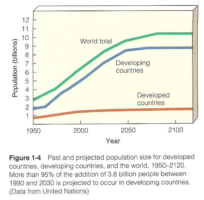 Economic Development More than 95% of the projected increase in world population will
