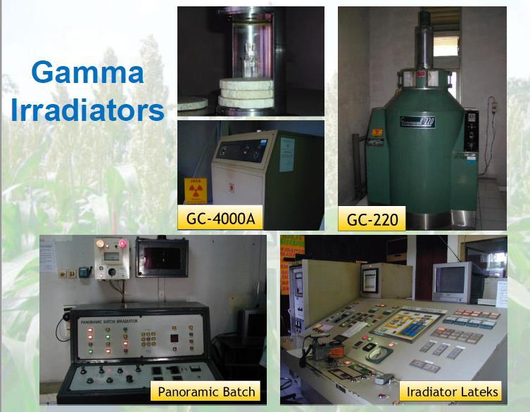 Gamma Irradiator