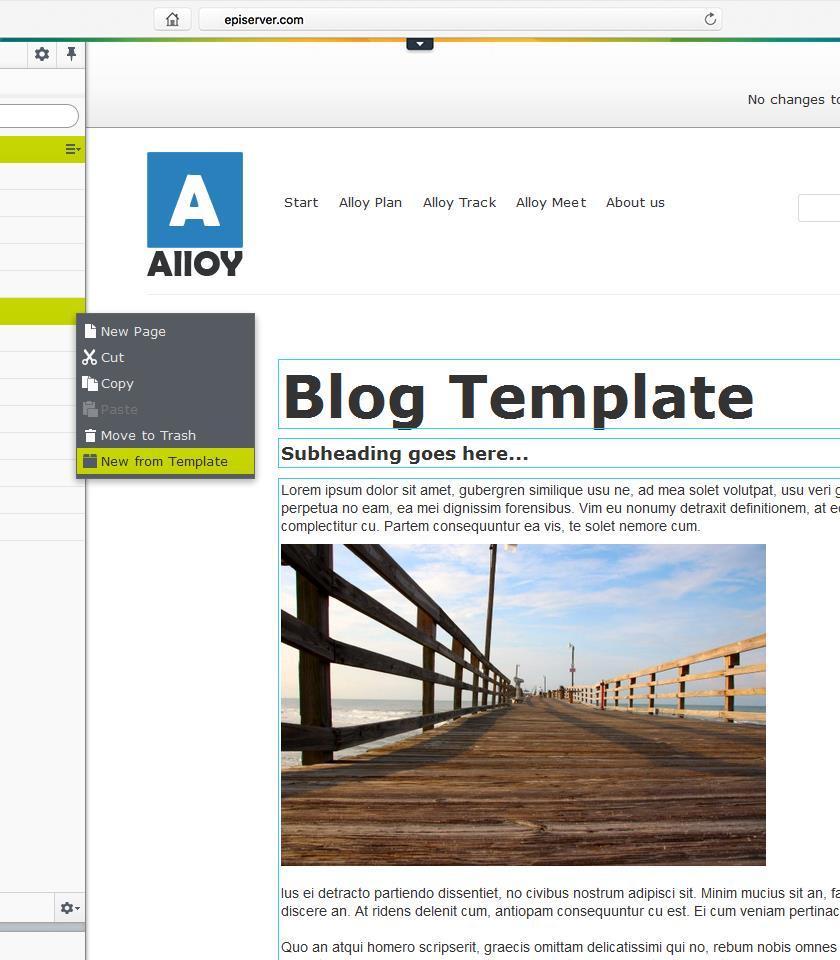 Fall 15 features Instant templates Marketers and web editors can quickly create their own templates: