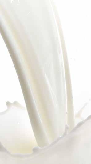 Vegetable milks The consumption of vegetable milks is constantly and significantly growing all over the world The vegetable milk products are gradually changing the eating