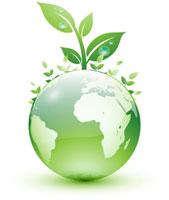 From black to green energy 100% RE by 2050 Fuel free energy Biomass and biogas
