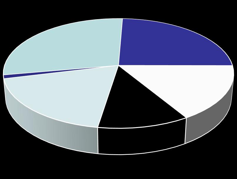 The ERRIA share Share ownership distribution Kirk Kapital A/S 28,43% Kapitalforeningen LD 24,40% Not registered 1,06% Others 18,66% N&V Group 16,21%