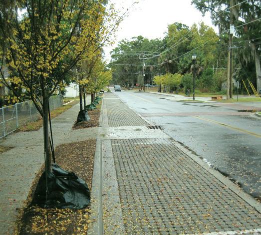 Guidelines for Rushern L. Baker, III County Executive Permeable Pavement What is permeable pavement?