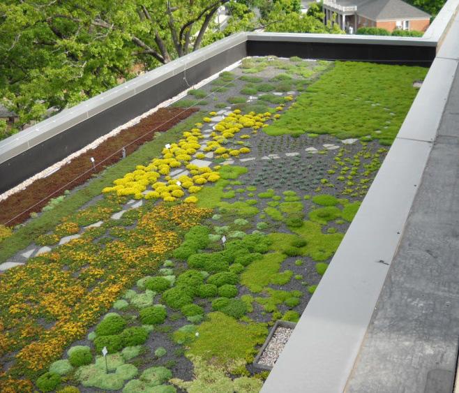 Green Roof Stormwater Green Roofs are specifically designed to retain stormwater on the roof of a building to saturate soil media, irrigate the green roof vegetation, and sustain the process of