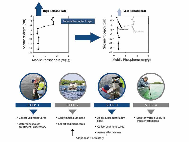 Figure 6. The adaptive alum application approach used in Bald Eagle Lake. the continued goal of reducing sediment phosphorus release.