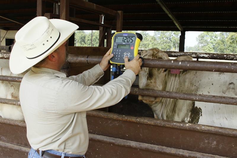 Exchanging data with breed associations Streamlining data collection with digital scales Herd extract