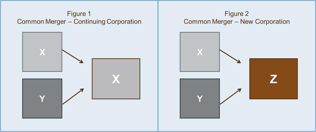 A slight variation of this model is reflected in Figure 2. Here, the continuing organization is a new corporate entity.