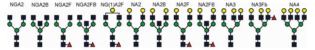 Electrophoretic Separation Electrophoresis profile: Nomenclature and structures of the most abundant N-glycans in