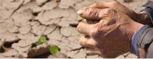 Drought and Mental Health Drought stress may be different than stress in other disasters Extended event, chronic, not viewed externally as disaster Impact is worst for already stressed farm families