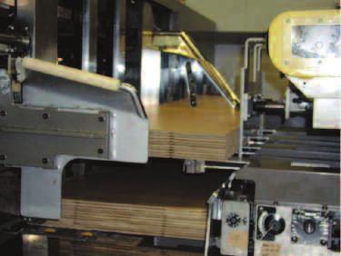 the one piece transfer conveyor belt give accurate control of boards down to 220mm (8.