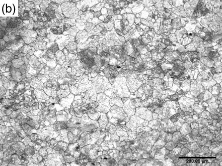 for 2 h. An austenite microstructure of equiaxed grains and fairly uniform in size was observed. The mean austenite grain size was 230 ± 5 µm in the RD-ND direction.