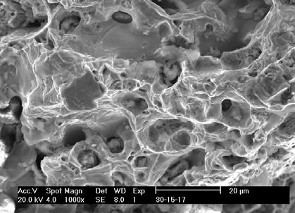 Effect of Powder Mixture Conditions on Mechanical Properties of Sintered Al 2 O 3 -SS 316L Composites under Vacuum Atmosphere 85 3. Mima, S., Yotkeaw, T., Morakotjinda, M., Tosangthum, N.