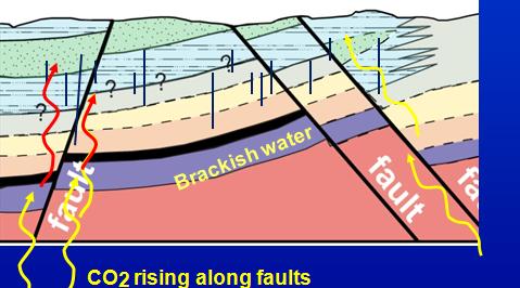 brackish water; in-situ mobilization is negligible