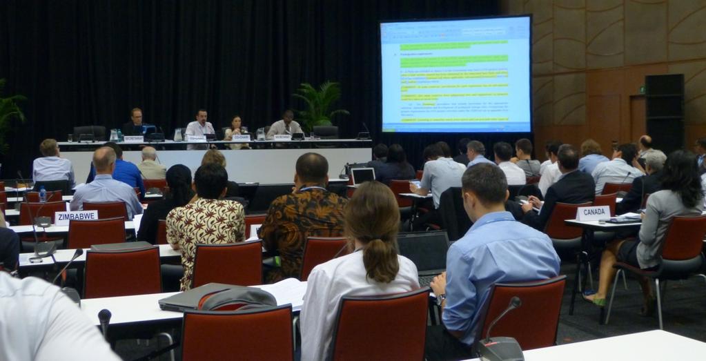 CMP7/COP17 Durban 2011 Negotiations on CCS CDM Over 32 hours of formal negotiations Do we have technology to monitor groundwater impacts?