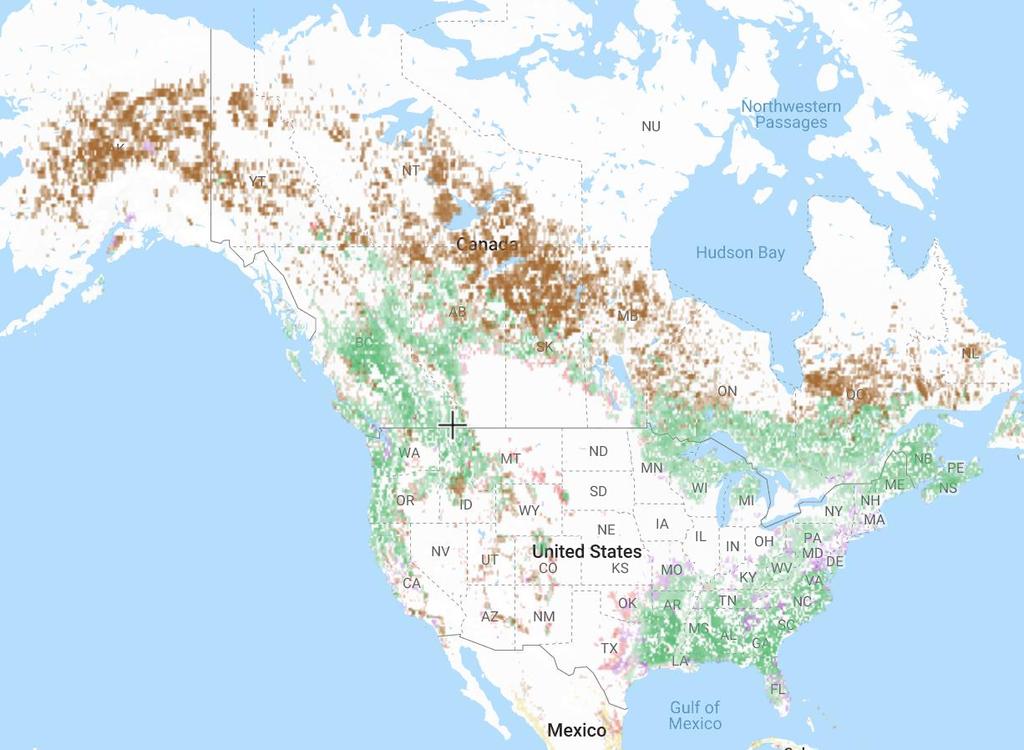 1 Forests are at risk here and around the world From 2001-2015, North America lost more than 70 million hectares of tree cover.