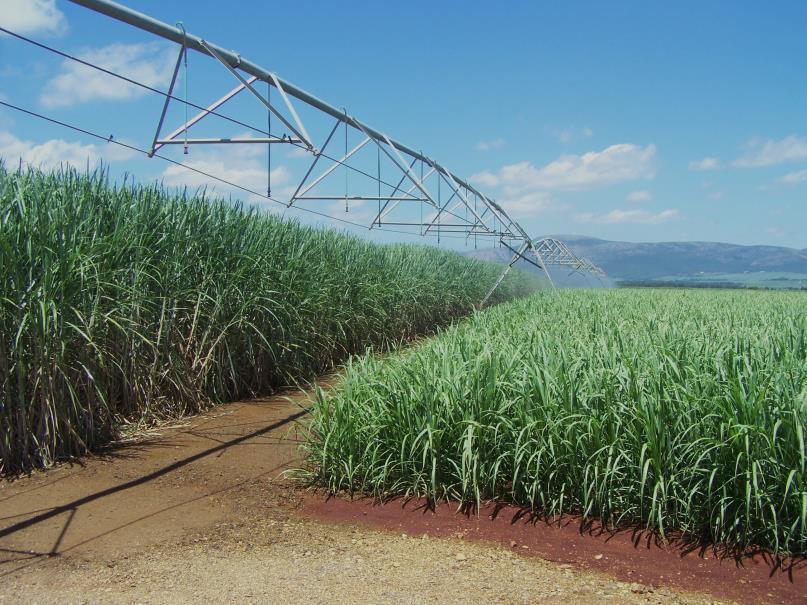 Introduction Background Irrigation water supply in SA is limited Pressure to demonstrate efficient use Measure to manage crop water use Remote sensing (RS) could help Objectives For Mpumalanga