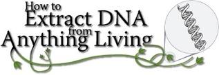Name: Date: Period: First, you need to find something that contains DNA. Since DNA is the blueprint for life, everything living contains DNA. For this experiment, we like to use strawberries.