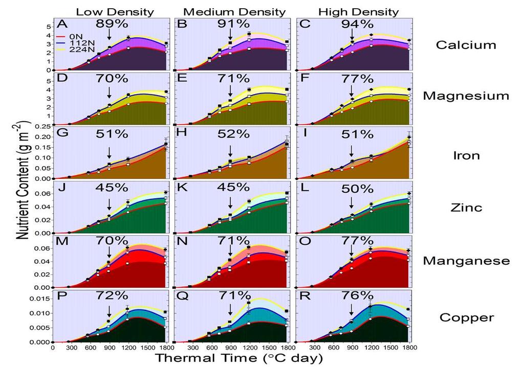 Post-silk uptake of Ca, Mg, Fe, Zn, Mn and Cu in response to plant