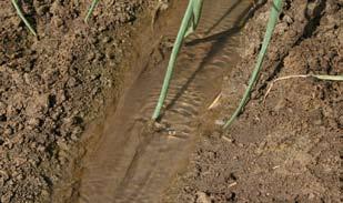 Over time, massive quantities of soil can be stripped from fields and carried away in runoff water.