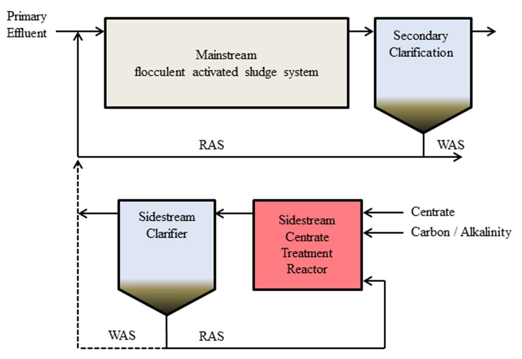 Figure 2.1. Schematic of separate sidestream centrate treatment process for nitrification bioaugmentation.