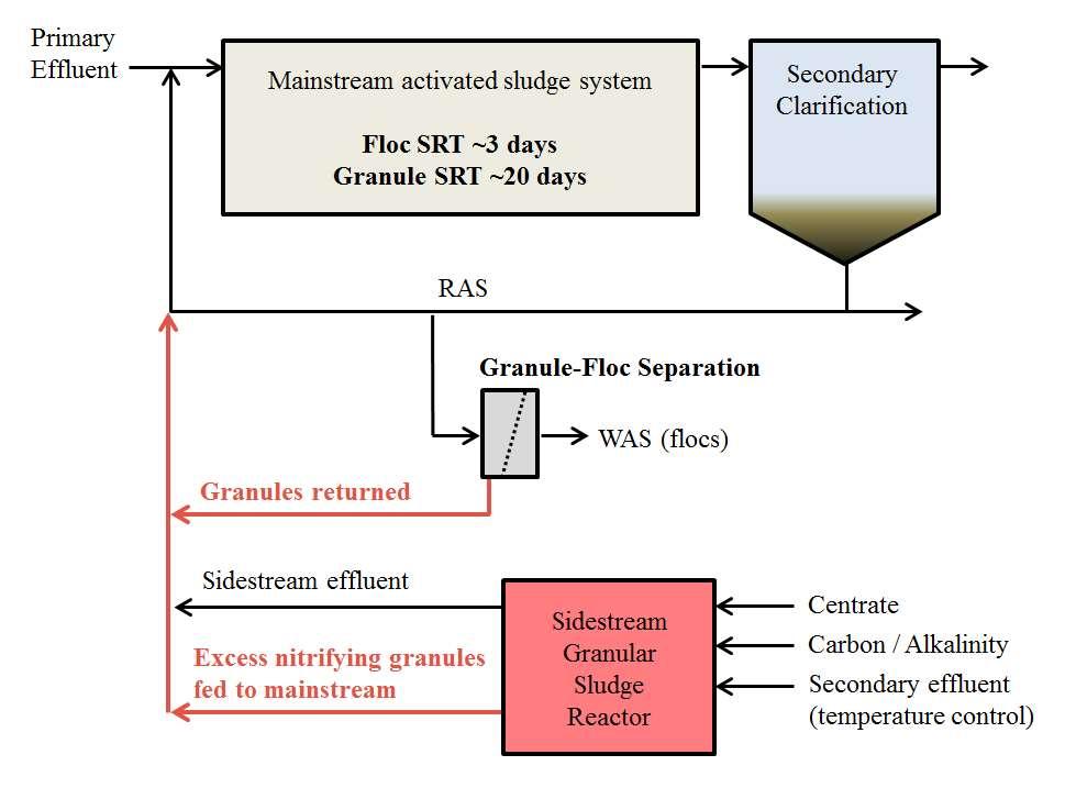 Figure 2.5. Nitrifying granular sludge bioaugmentation process schematic.