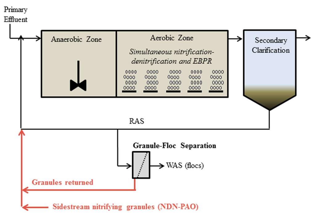 nitrogen removal in an anoxic-aerobic Modified Ludzack-Ettinger