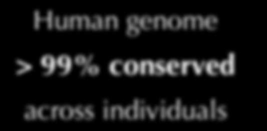 genome > 99%