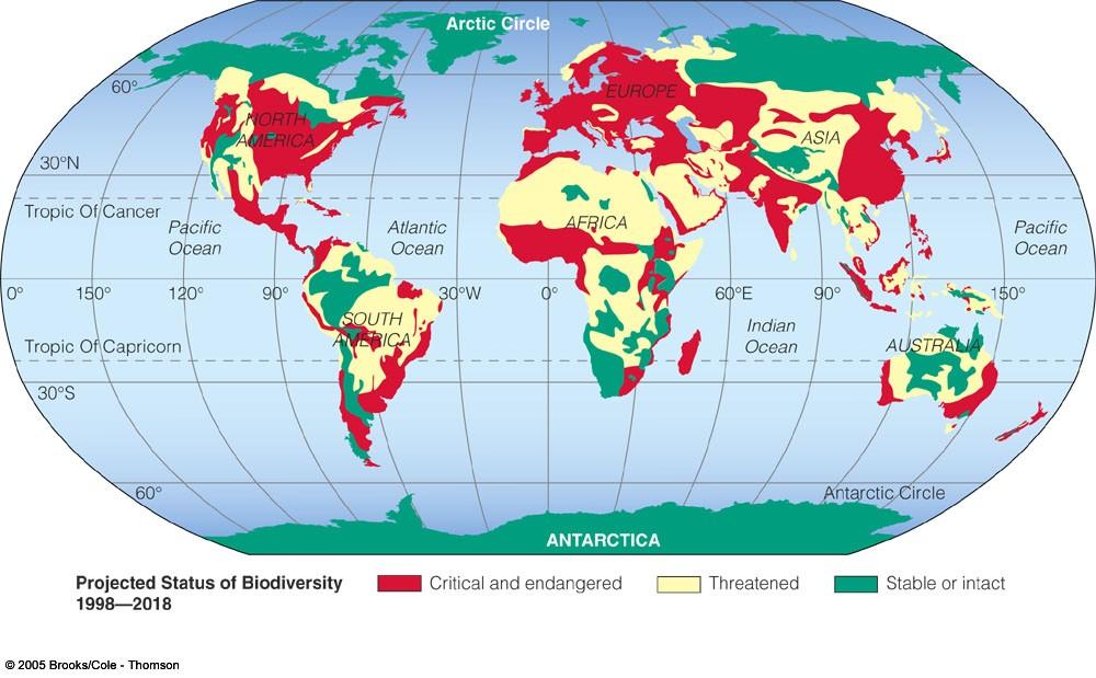 Global Biodiversity Status Forests