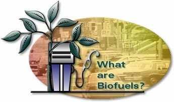 What are biofuels?