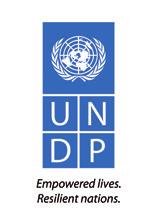 economies and achieve the Sustainable Development Goals. www.un-page.