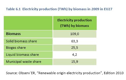 Biomass resources for electricity production in Europe: