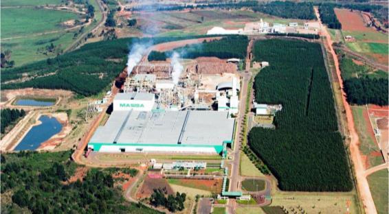 Latest and Potential Expansions Masisa do Brasil: Growth in the Panel Division Arauco acquired Masisa s assets in Brasil in US$ 102.8 million.