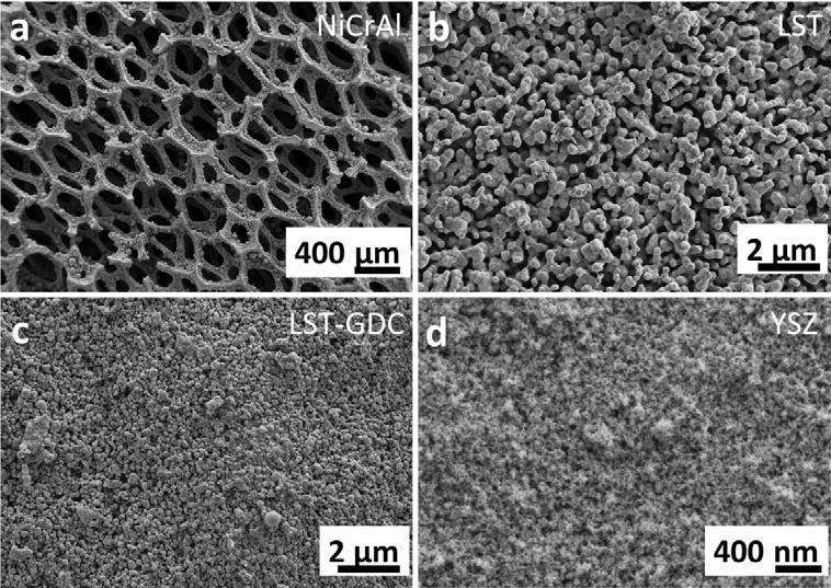 In this concept, a NiCrAl foam (Alantum GmbH, Germany) with open pore size of about 450 µm (Figure 6.a) is used as metallic substrate to enhance the stability of the cell. A perovskite namely La 0.