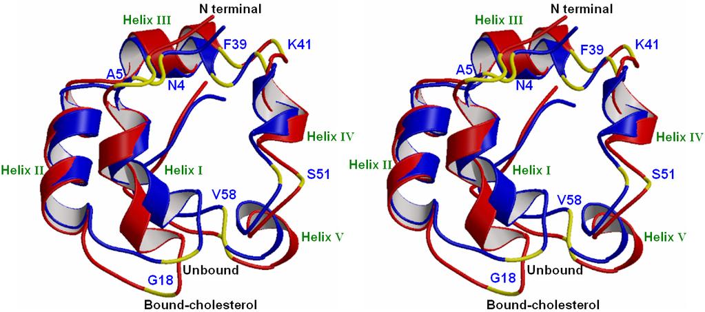 Superposition of structures cholesterol-nsltp2 (red) and nsltp2 (blue) MolScript 1.