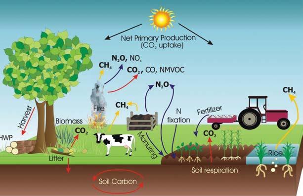 FIG 2 The main greenhouse gas emission sources/removals and processes in managed ecosystems CO (Carbon Monoxide); CO 2 (Carbon Dioxide); CH 4 (Methane); N (Nitrogen); N 2O (Nitrous Oxide); NO x