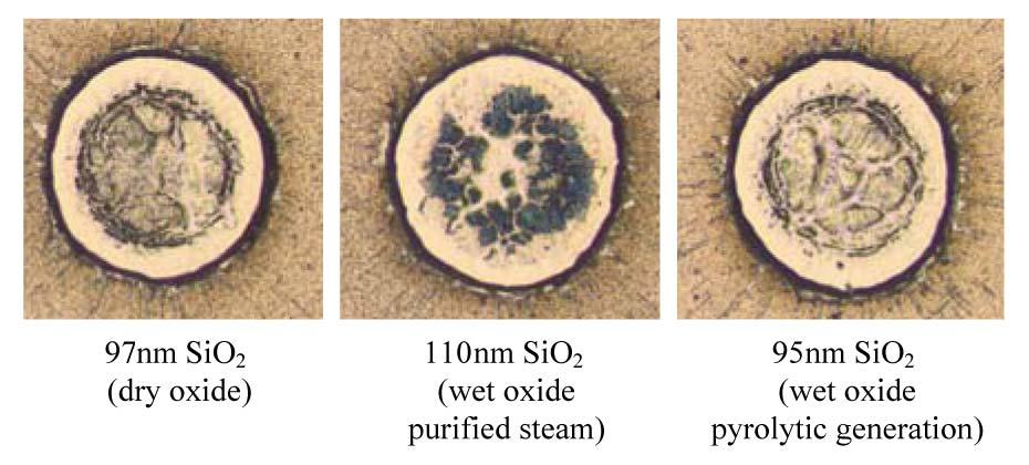 MANUFACTURING EQUIPMENT & MATERIALS grown from purified steam, an average series resistance of ~0.8 Ω cm 2 was determined. For the other cells, a considerably lower series resistance of ~0.