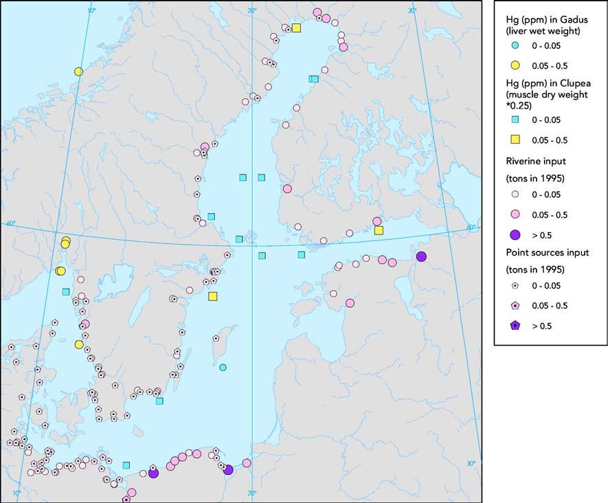 Map 5. Mercury (Hg) input to the Baltic Sea, 1995 and mercury (Hg) concentrations in muscle of cod (Gadus morhua) and muscle of herring (Clupea harrengus), median mg/kg wet weight for 1995 99.