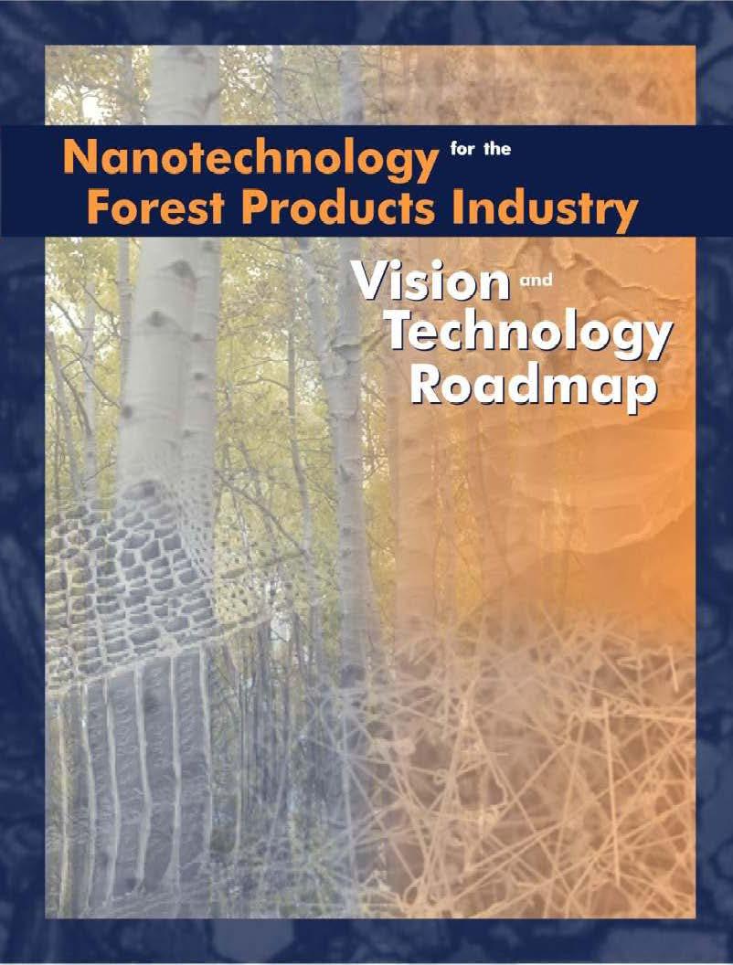Nanotechnology Industry Workshop in VA, USA, (Oct 17-19, 2004 ) American Forest and Paper Association (AFPA), TAPPI, USDA, FPL
