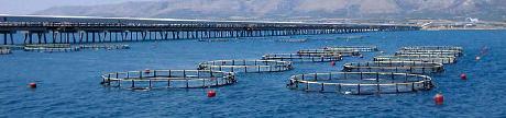 (EQS) and indicators of environmental change related to aquaculture.