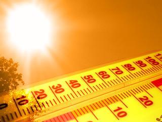 Deaths due to heat waves, water borne diseases and