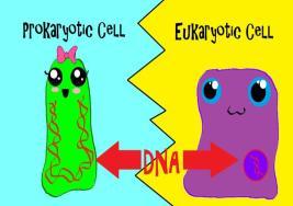 containing nucleic acids in the form of DNA