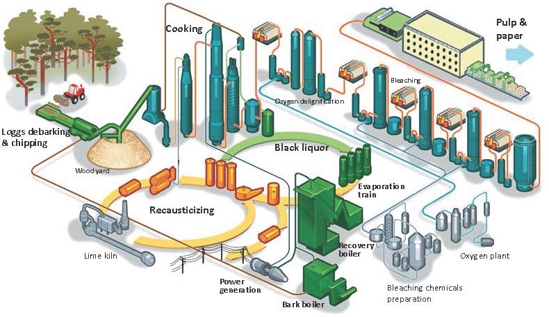 Overview of the processes Figure 3.1: Schematic of the processes in a Kraft pulp and paper mill pulp. The Kraft pulp mill may also have an integrated paper machine for on-site paper production.