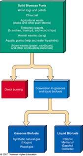 PRODUCING ENERGY FROM BIOMASS Plant materials and animal wastes can be burned to provide heat or electricity or converted into gaseous or liquid biofuels.