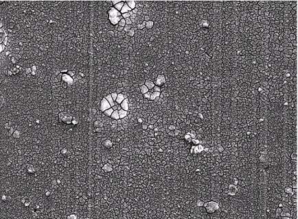 Spray-Drain Cycle 50 µm 50 µm Fails After