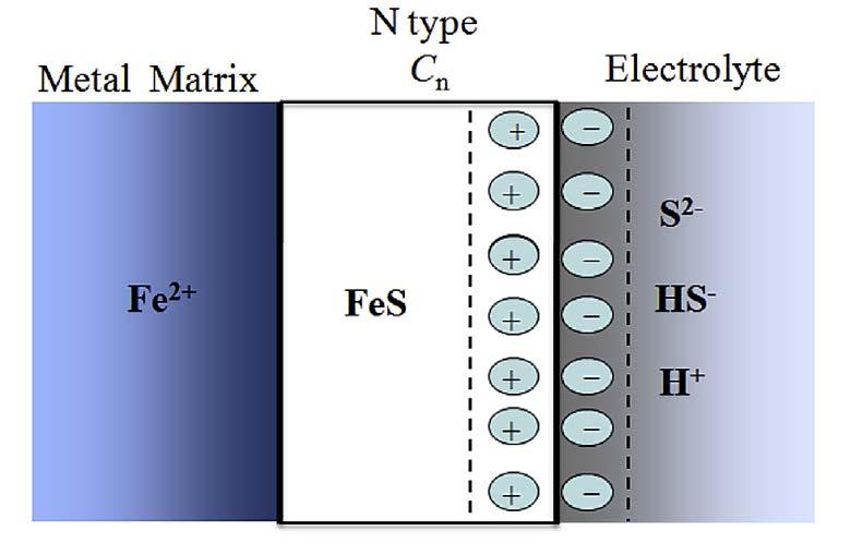 Surface charge and hydrogen permeation The net positive charge on the film surface would attract anion ions, such as HS - and S 2-, and repeal cation ions such as H +, in the solution.