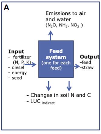 Feed production important areas - Yield -