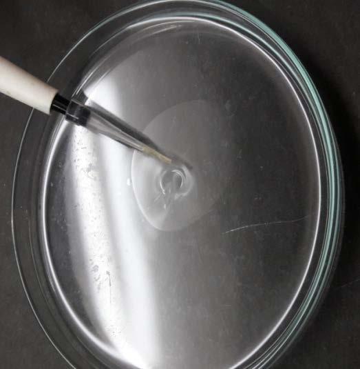 b) Oil spreading technique- Clear zone in the oil containing plate indicates